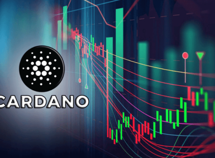 As Solana DeFi Struggles, Cardano May See Increased Attention