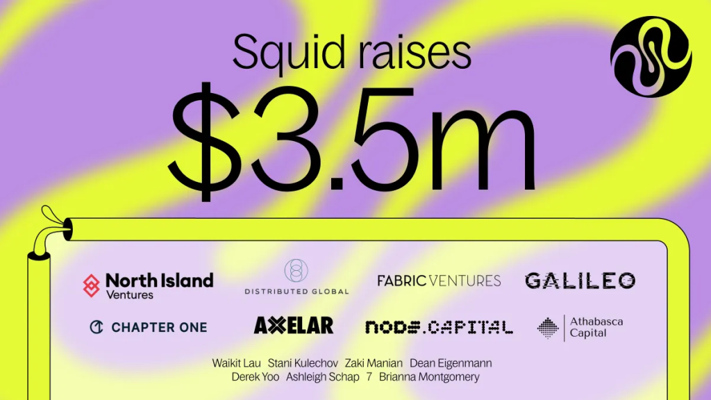 Squid, DeFi Liquidity Protocol Got $3.5 Million in a Seed Round