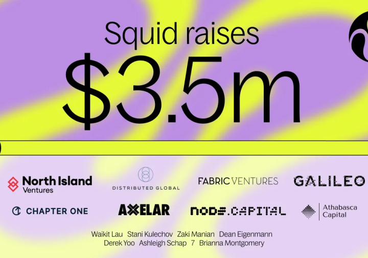 Squid, DeFi Liquidity Protocol Got $3.5 Million in a Seed Round