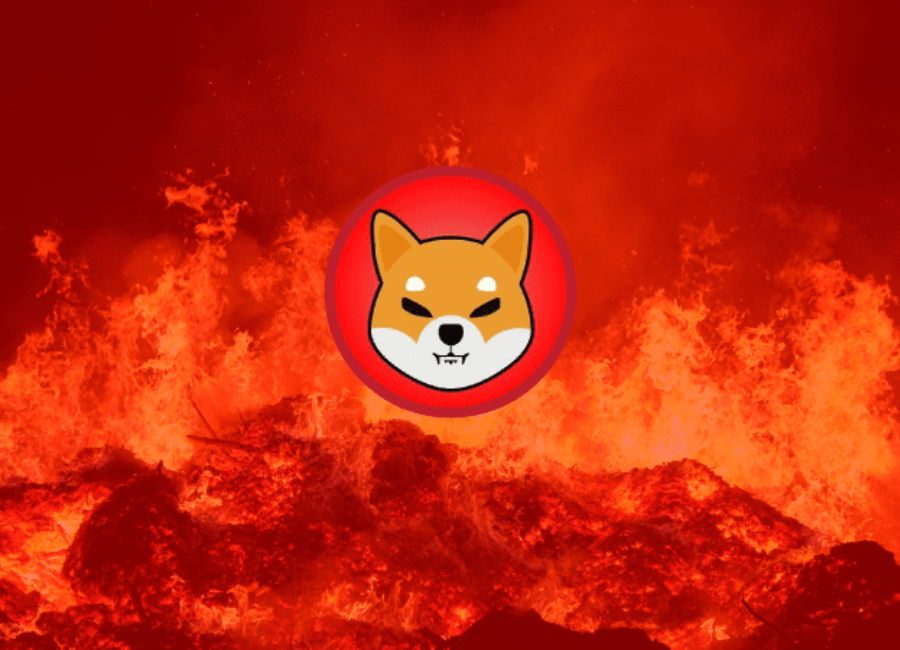 Shibarium's Shiba Inu Insider Provides Valuable Update on SHIB Burn