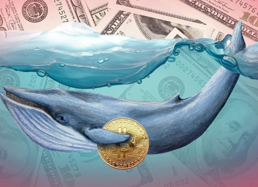 Crypto Whales Navigate Through the Sea of Market Instability with Major Asset Selloffs