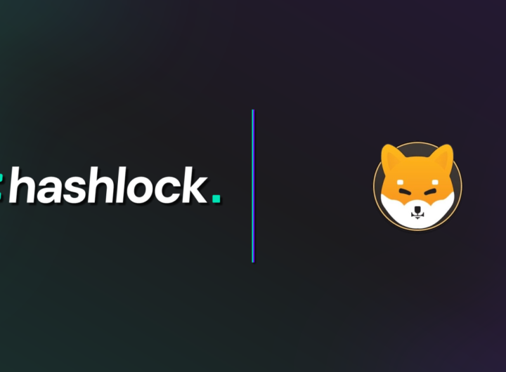 Hashlock Completes Shiba Classic Audit