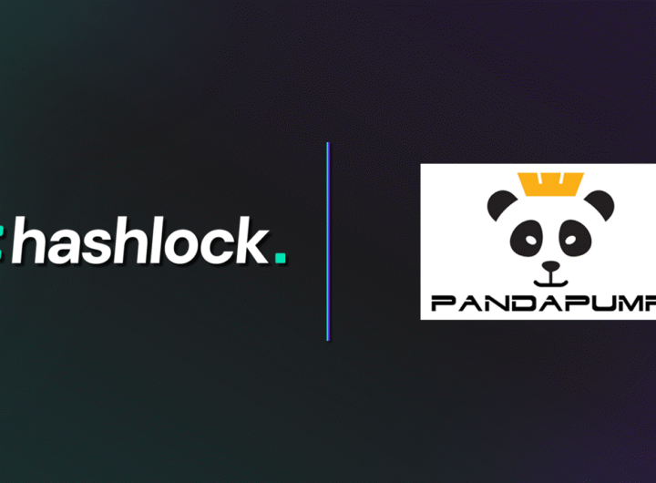 Press Release: PandaPump group partnered with Hashlock to conduct a security audit of their smart contracts.