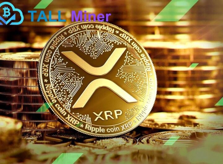TALL Miner Cloud Contract Mining: Earn $60,000 USD per day and withdraw cash at any time