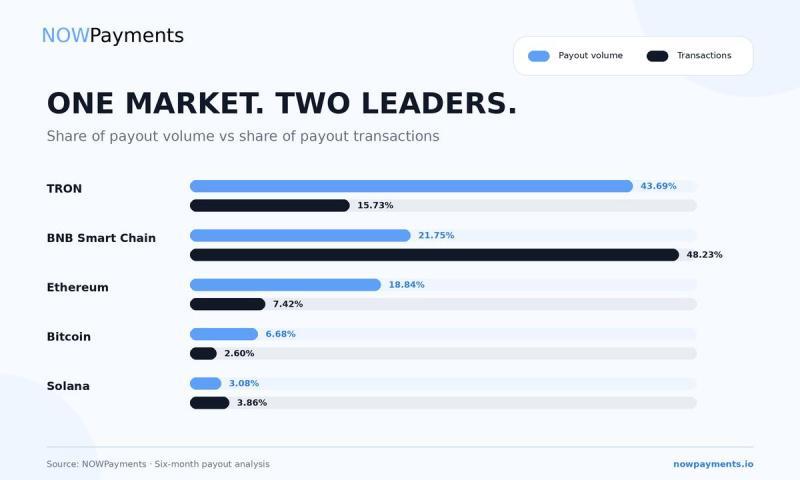 Bar chart comparing share of payout volume and share of payout transactions for TRON, BNB Smart Chain, Ethereum, Bitcoin and Solana